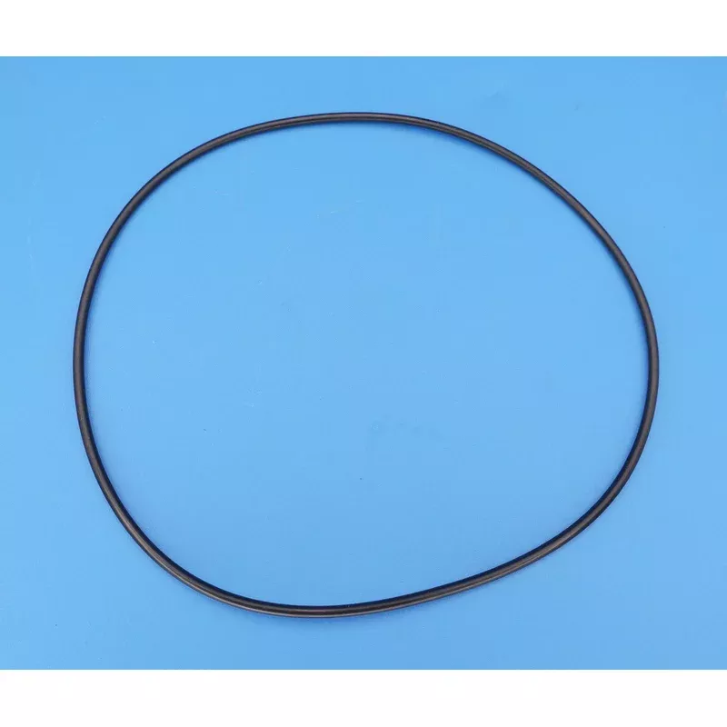 Caretaker (Jandy Zodiac) O-Ring (Single Large O-Ring Only) 1-13-1
