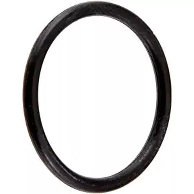 HAYWARD StarClear O-Ring CX250Z7